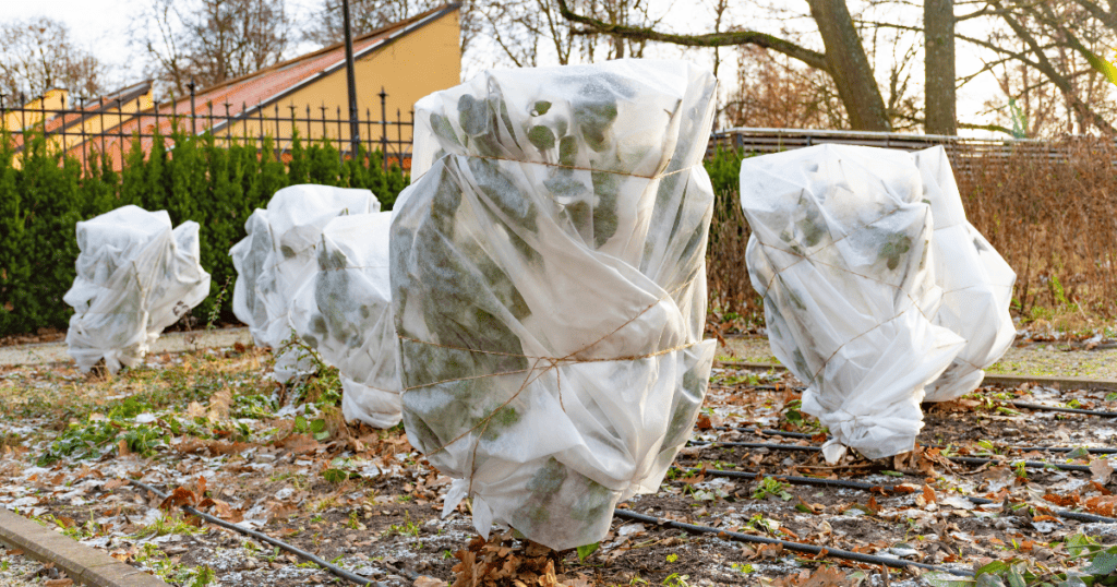 A group of trees covered in plastic wrap.