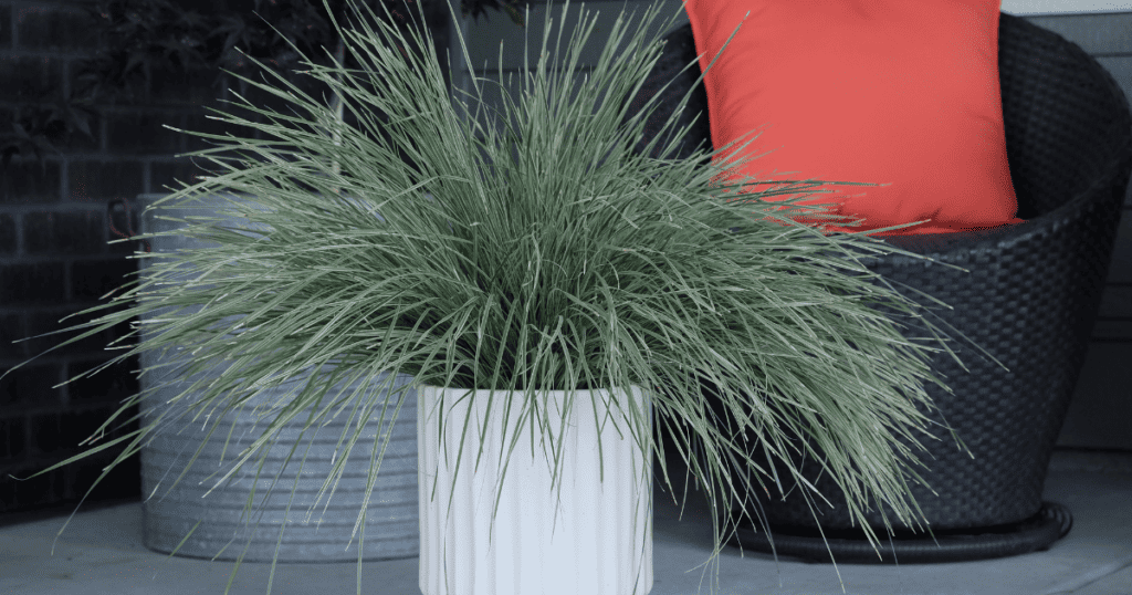 A white vase with grass in it on a porch.