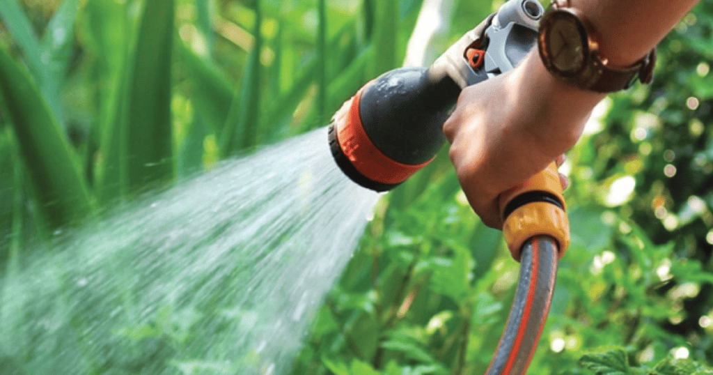 A person is watering plants with a hose.