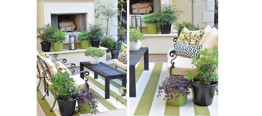 courtyard container planting patio