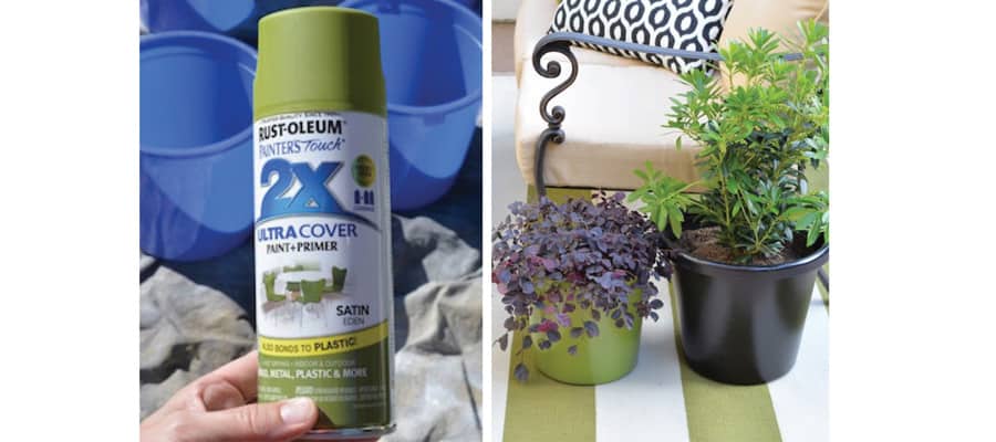 courtyard container planting spray paint