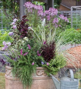 container garden combination planting