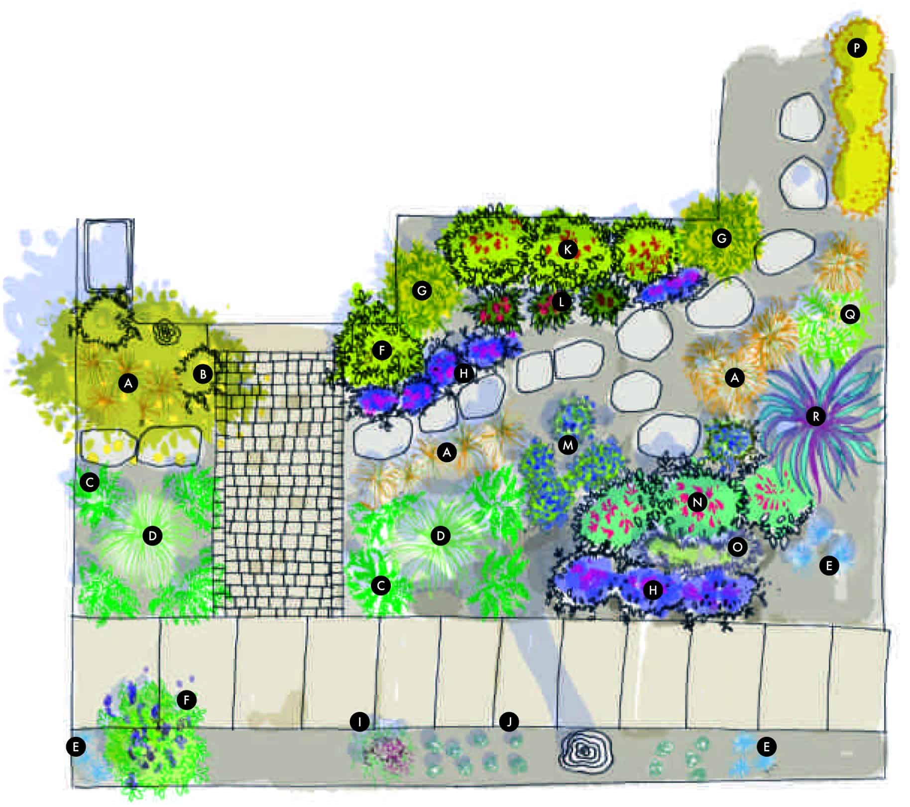 garden plan rendering