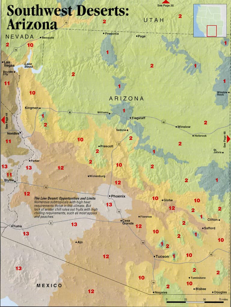 southwest deserts arizona map