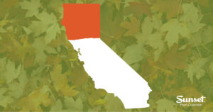 Shape of California with the northern portion highlighted in orange and fall leaves in the background.