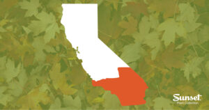 Shape of California with the southern portion highlighted in orange and fall leaves in the background.