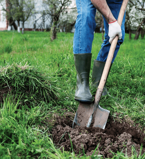 A Guide to Fall Gardening | Sunset Plant Collection