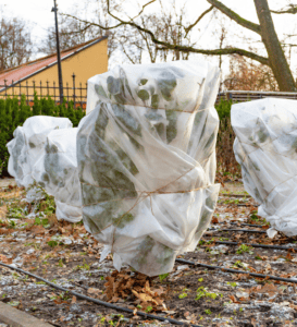 A group of trees wrapped in plastic.